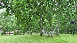 久住高原のくぬぎの森に囲まれたペンションきのこⅡ世号の庭。久住高原に位置するオーベルジュです。